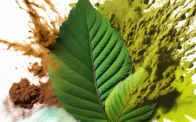 Kratom Country Review