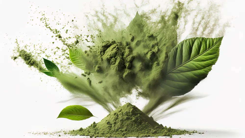 Kratom Vs. Matcha What are the differences