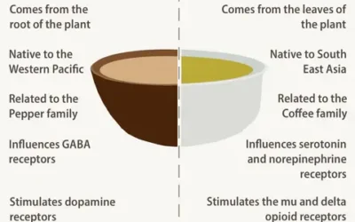 Kratom vs Kava what are the differences?