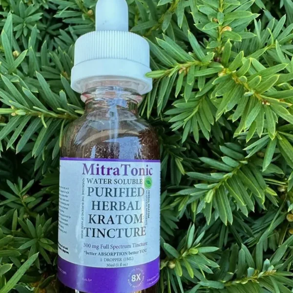 MitraTonic bioavailable Kratom Tincture picture with pine needles