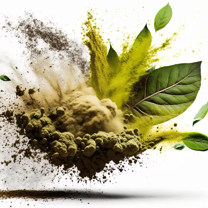 PhytoExtractum review kratom powder and leaf explosion yellow powder
