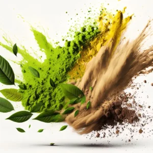 Unveiling Super Speciosa: Comprehensive Kratom Vendor Review.