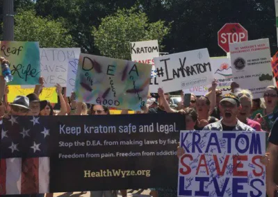 kratom rally banner washington DC 2016 Healthwyze