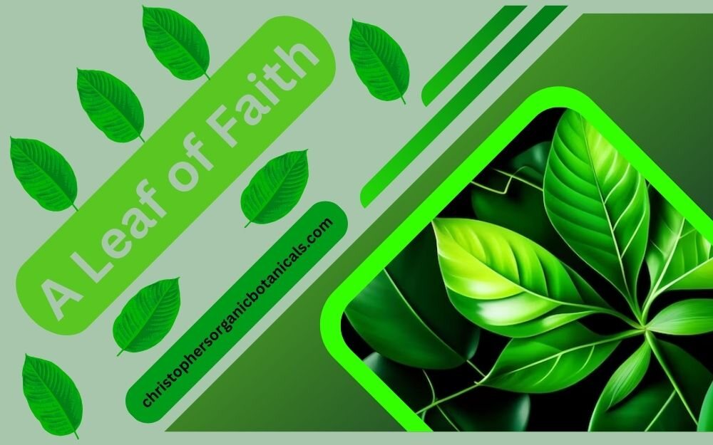 A Leaf of Faith: Kratom Documentary Explores Benefits and Controversies.