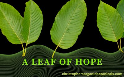 A Leaf of Hope