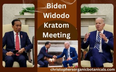 Biden Widodo Kratom Meeting