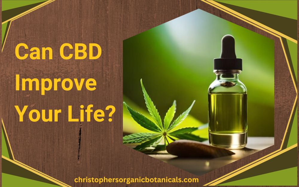 Is it Possible for CBD to Improve Your Life?