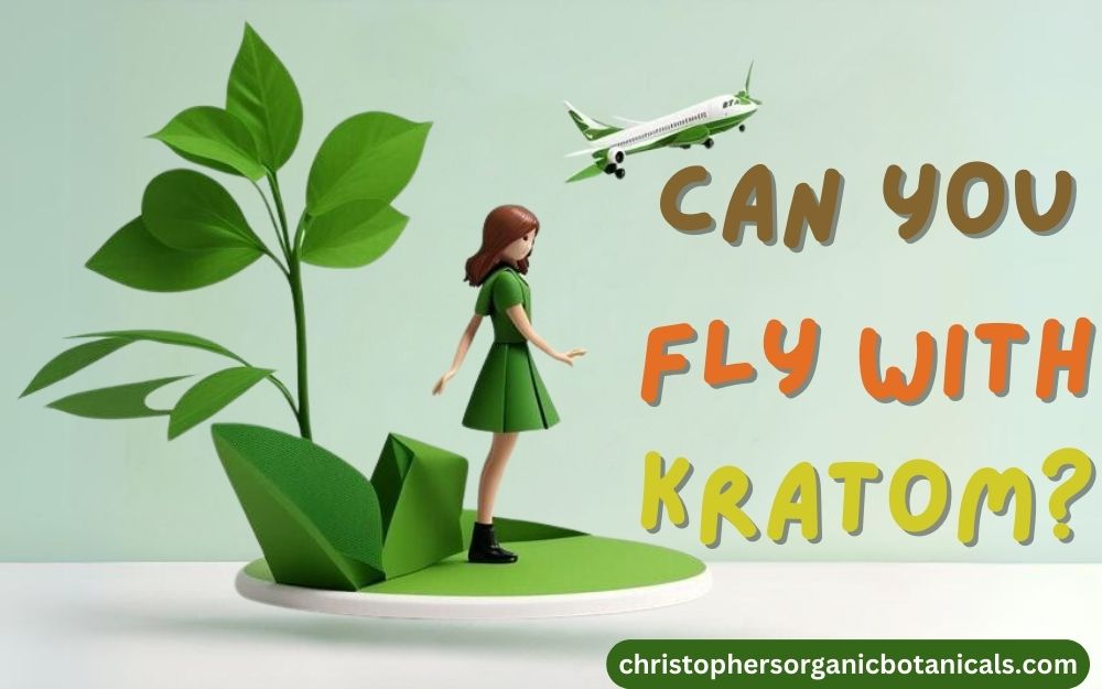 Can you take kratom on a plane? Can You fly with kratom? Can you take kratom in a checked bag?