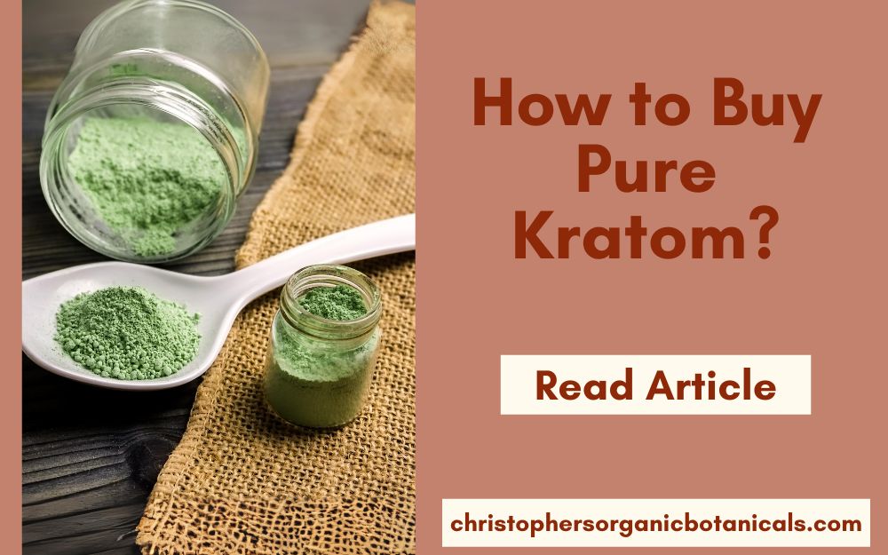Expert Tips for Purchasing Authentic Kratom Products.