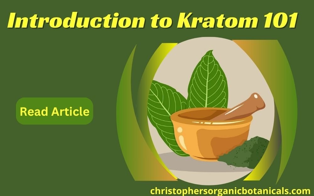 Introduction to Kratom 101: Essential Insights and Information for New Users.
