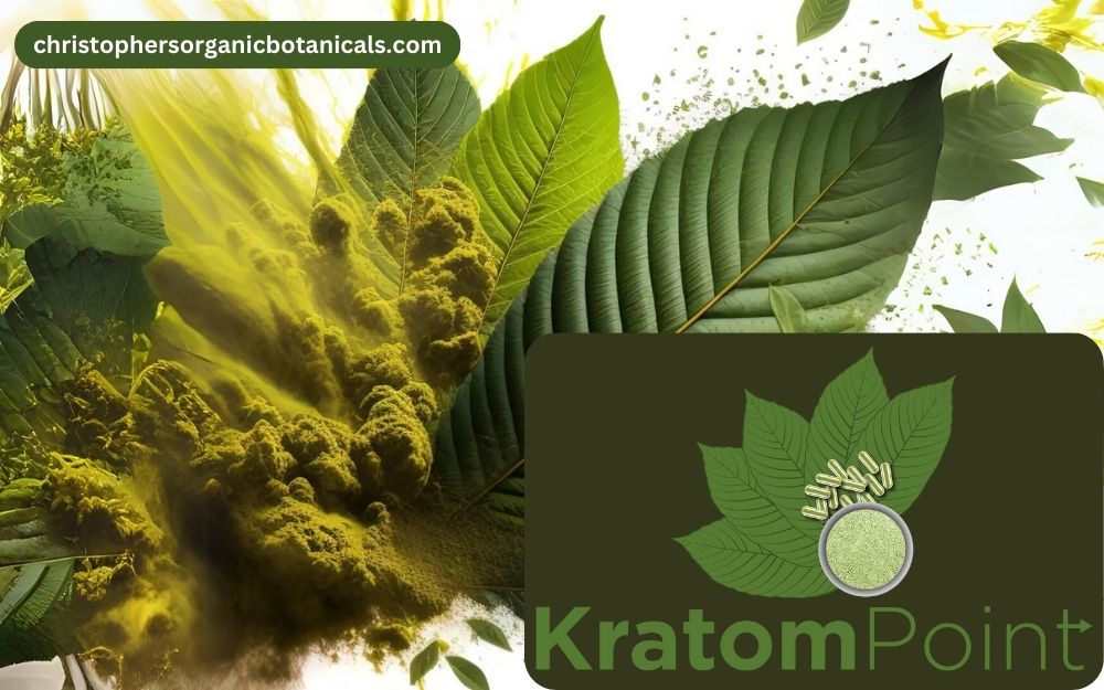 Insightful Kratom Point Review: Unveiling Quality, Service, and Customer Experiences.