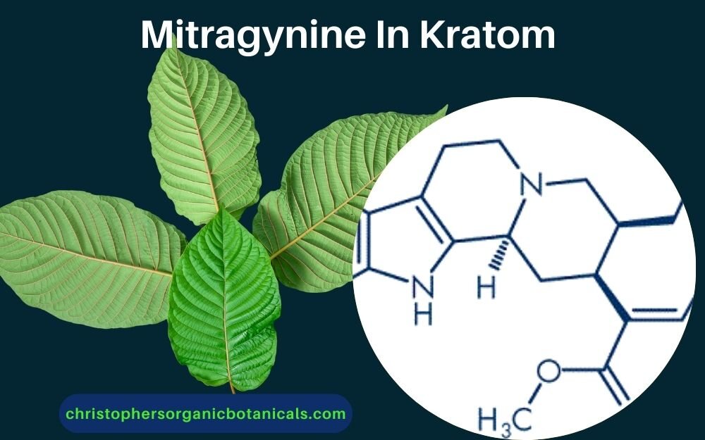 Mitragynine Levels in Kratom: Understanding the Potency and Composition of Kratom Products.
