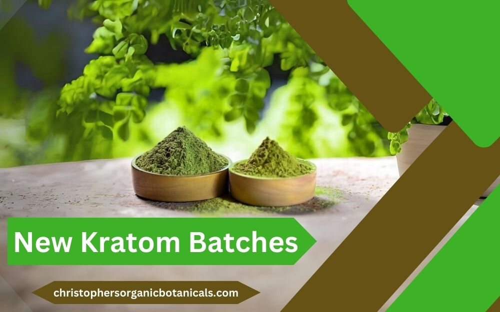 Fresh Kratom Powder Batches: Discover the Latest Offerings for Premium Quality and Potency.
