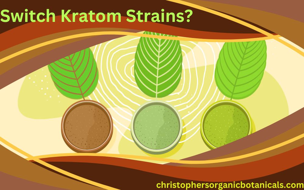 Considering a Switch? Evaluating When to Change Kratom Strains and Brands for Optimal Benefits, Effects and Experience.
