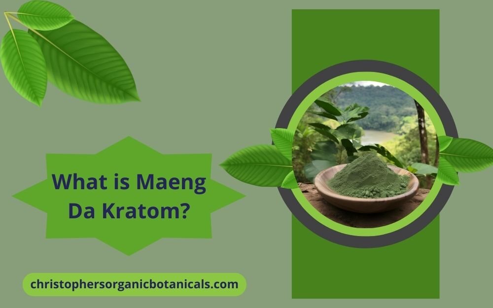 Exploring Maeng Da Kratom: Unpacking the Potency, Origins, and Unique Benefits of This Popular Strain.