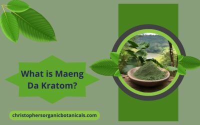 What is Maeng Da Kratom?