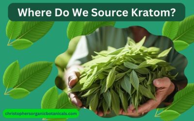 Where Do We Source Kratom?