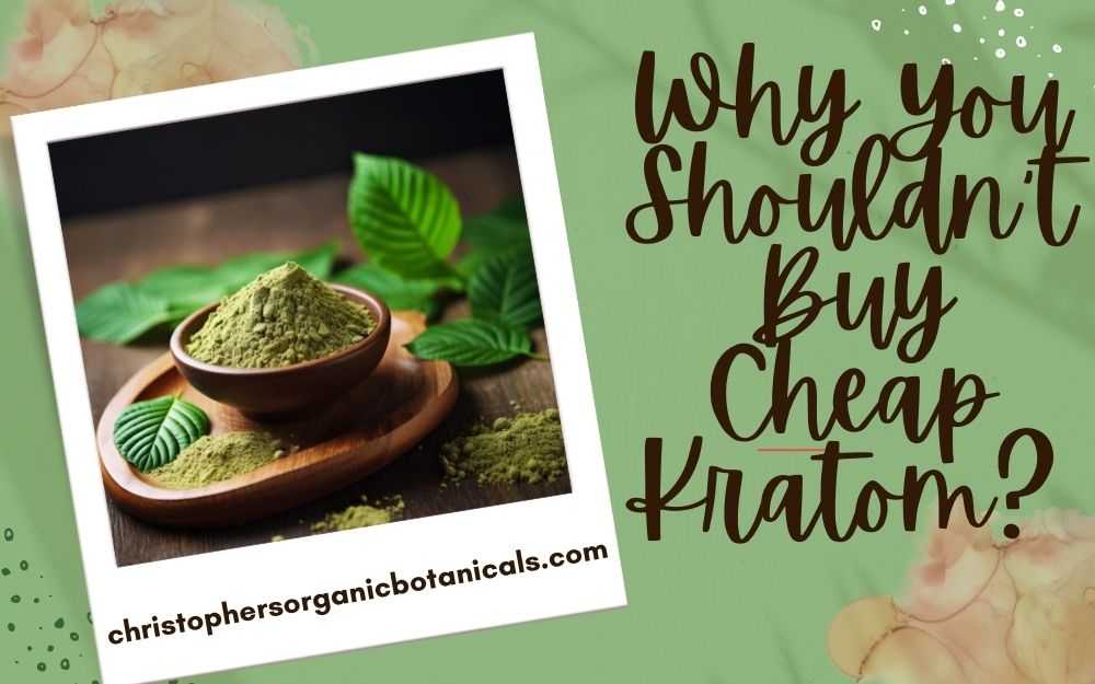 Understanding the Dangers of Low-Cost Kratom: Insights on Quality, Safety, and the Importance of Investing in Trusted Sources.