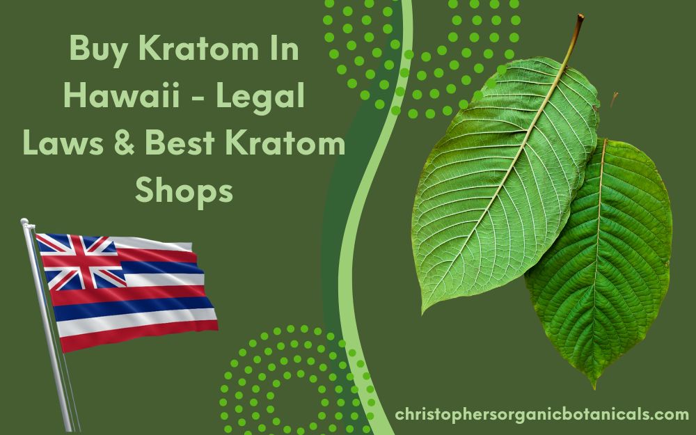 Your guide to buying kratom in Hawaii: Legal insights and premier stores.