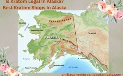 Is Kratom Legal In Alaska? Best Kratom Shops In Alaska