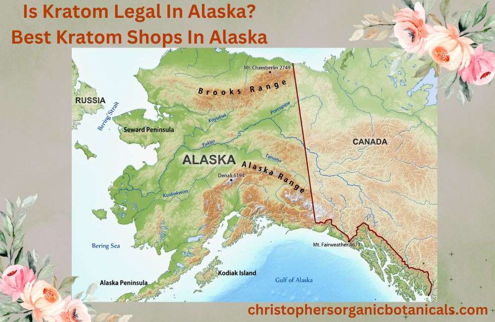 Is Kratom Legal In Alaska? Discover the legal status of kratom in Alaska and find the best kratom shops for your needs.