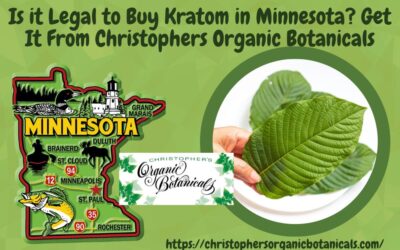 Is it Legal to Buy Kratom in Minnesota?