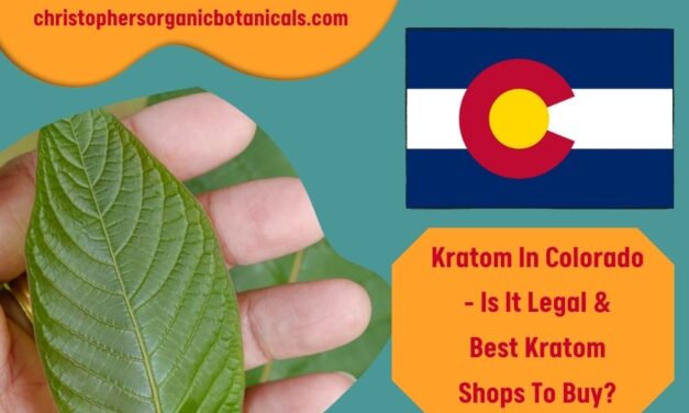 Kratom In Colorado: Is It Legal & The Best Kratom Shops To Buy