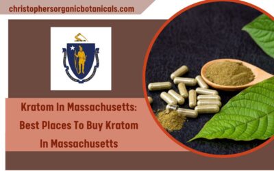 Kratom Massachusetts: Best Places To Buy Kratom In Massachusetts