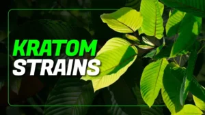 Visual guide showcasing a wide array of Kratom strains, including detailed descriptions of effects and regional differences for user reference.