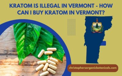 Kratom Is Illegal In Vermont – How Can I Buy Kratom In Vermont?