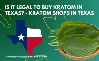 Is It Legal To Buy Kratom In Texas? – Kratom Shops In Texas