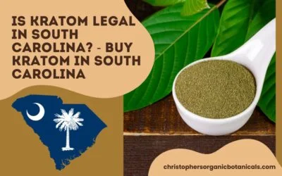 Is Kratom Legal In South Carolina? – Buy Kratom In South Carolina