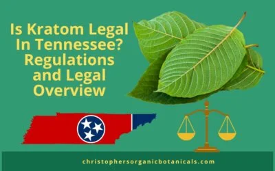 Is Kratom Legal In Tennessee? Regulations and Legal Overview