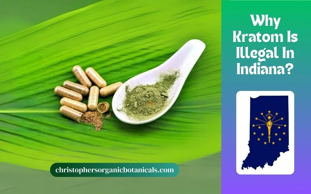 Why Kratom Is Illegal in Indiana - Understanding the Ban