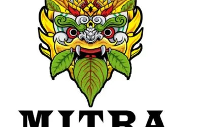 Discover Mitra-K: Your Ultimate Guide to Premium Thai Kratom